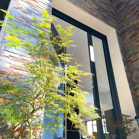 Superbe Panoramic Provence * 蒙特利马尔