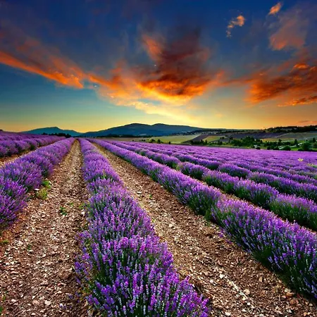 Superbe Panoramic Provence بيت للعطل *